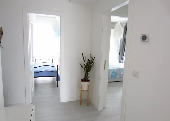 Happy Whale 里米尼